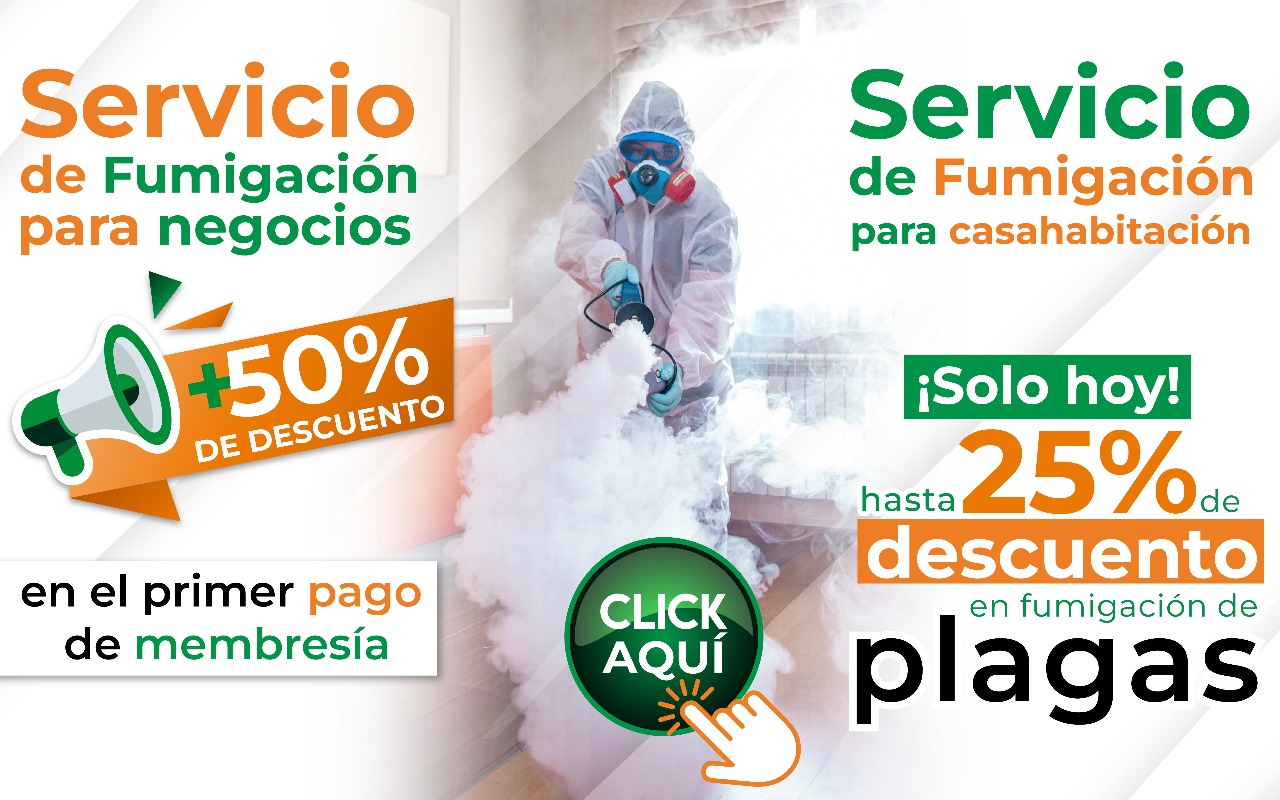 Publicidad SEFS